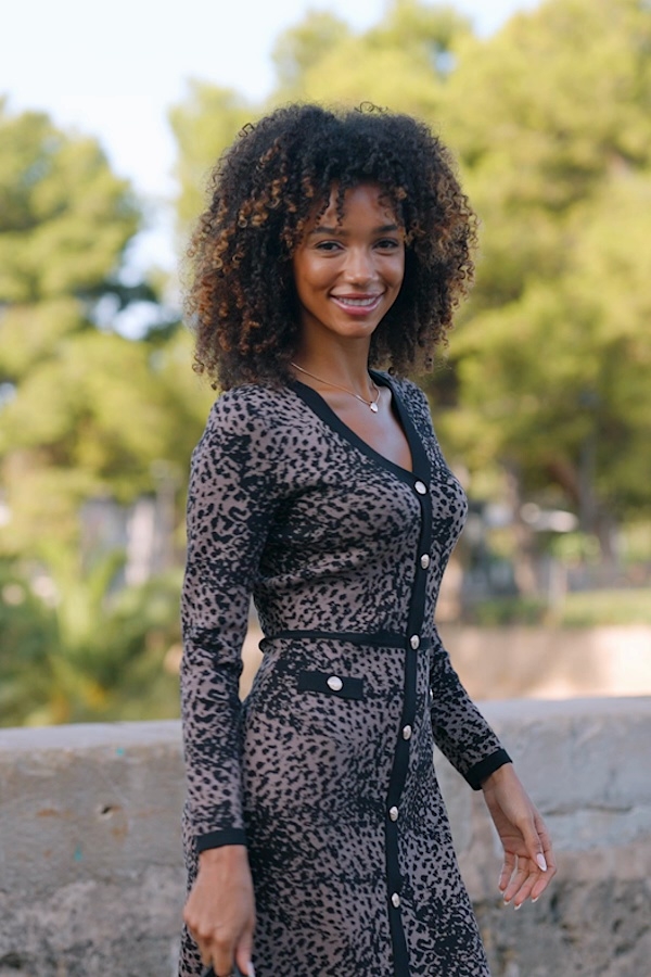 Leopard Print Jacquard Knit Dress