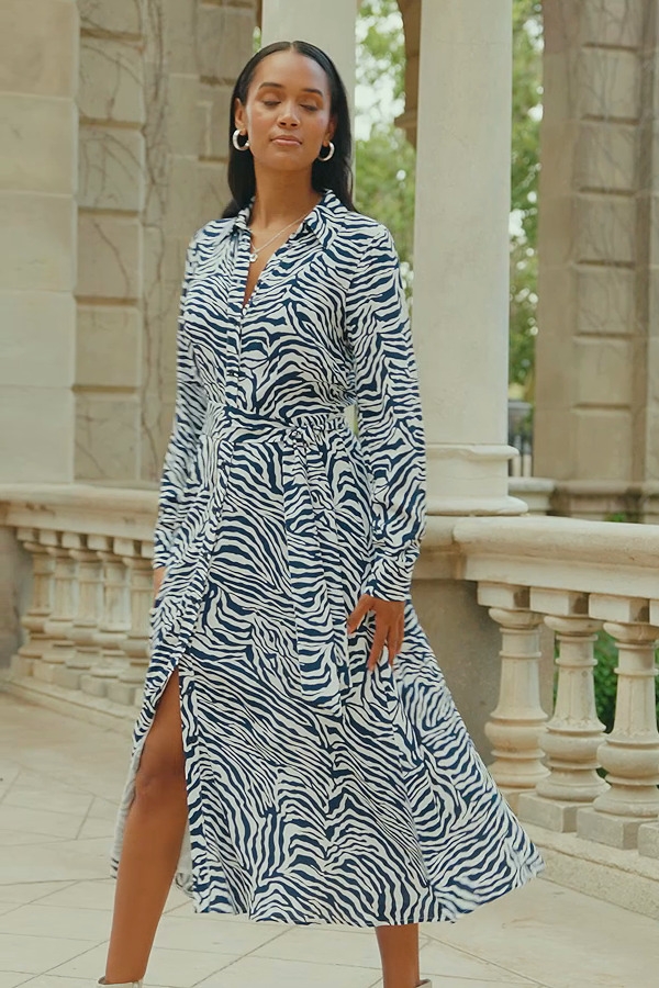 Blue White Zebra Print Midi Shirt Dress