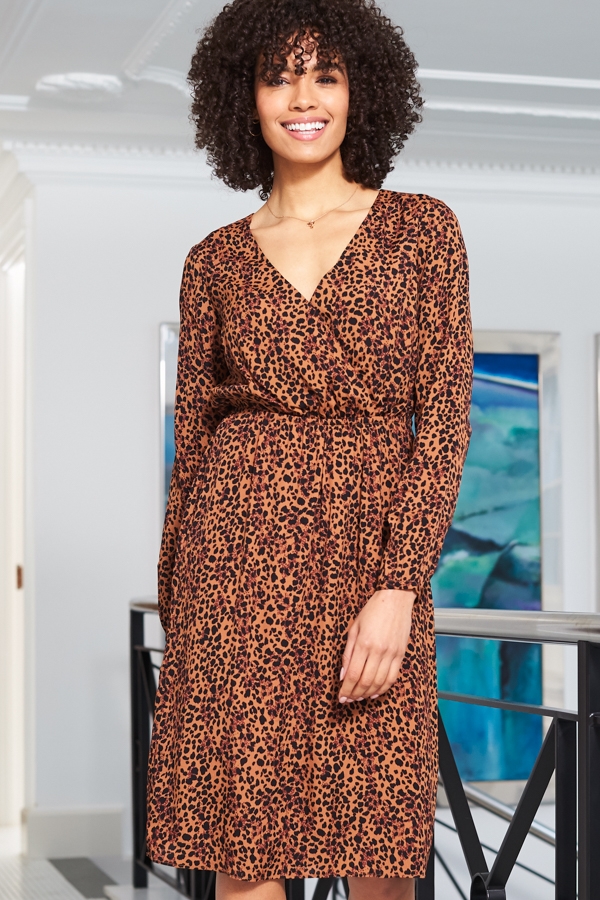 Leopard Print V Neck Stretch Waist Dress