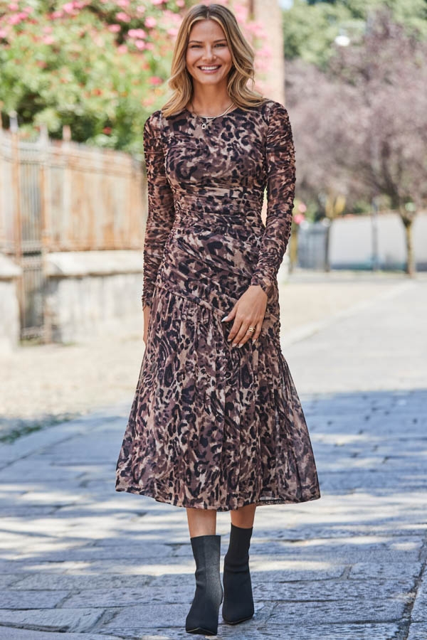 Petite Animal Print Mesh Ruched Waist Fit & Flare Dress