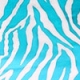 Blue & White Zebra Print Ruched Detail Swimsuit With Gold Detail