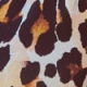 Leopard Print Ruffle Detail Playsuit