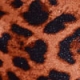 Leopard Print Body Sculpting Bikini Bottoms