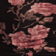 Black & Pink Floral Print Mesh Mandarin Collar Top