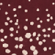 Burgundy Geometric Spot Print Shirt Dress
