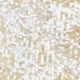 Champagne Gold Sequin Tapered Trousers