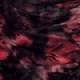 Black & Red Floral Print Square Neck Ruched Detail Top
