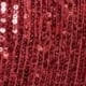 Red Sequin V Neck Blouson Sleeve Top