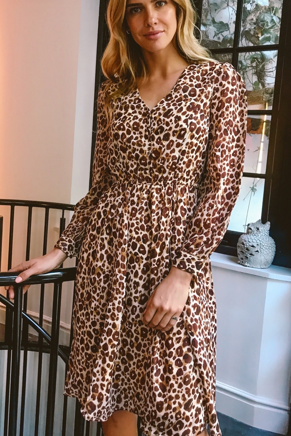 Leopard Print Button Front Detail Fit & Flare Dress