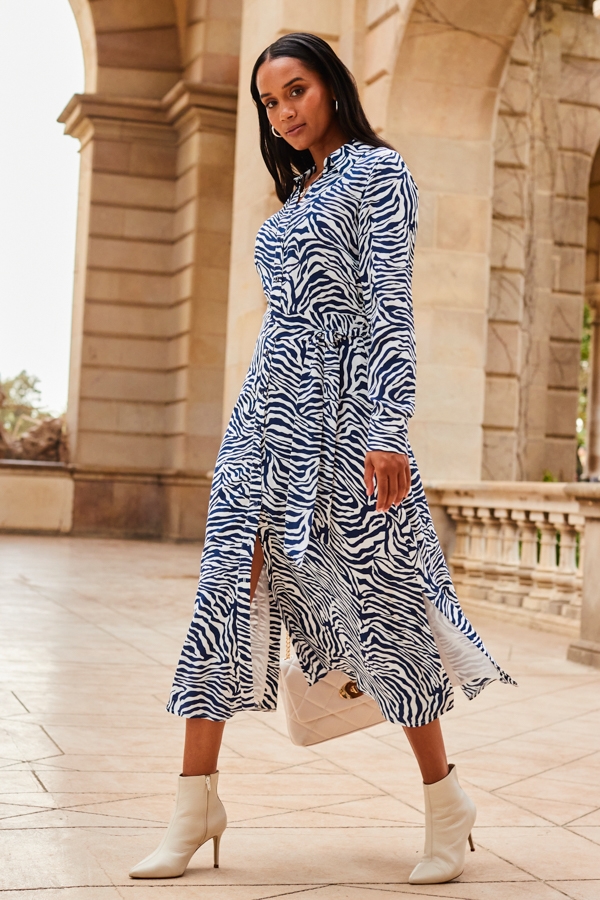 Blue & White Zebra Print Midi Shirt Dress
