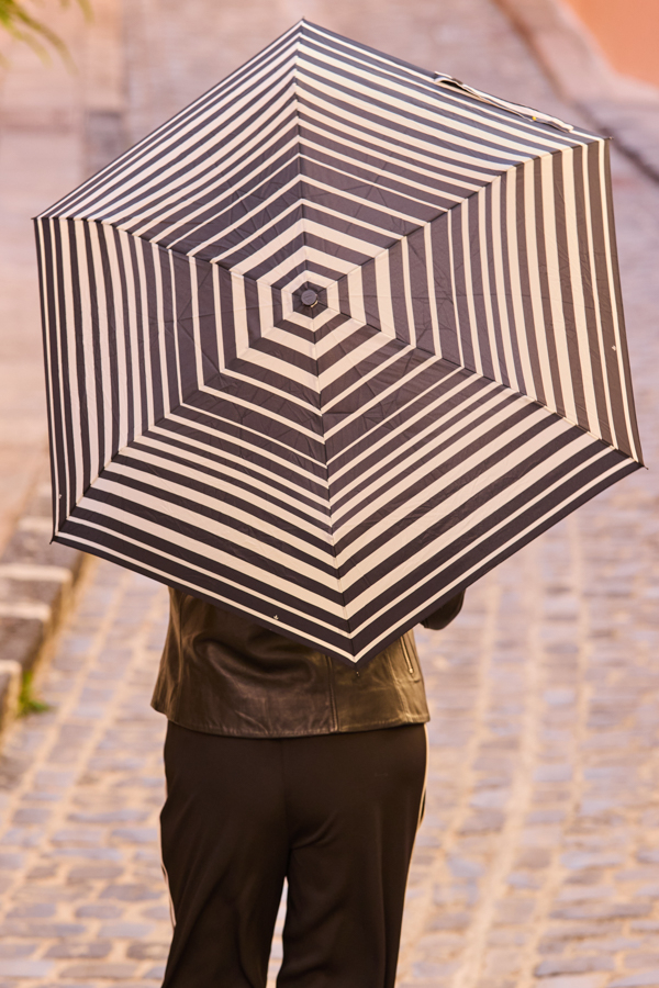 Black & White Stripe Print Umbrella