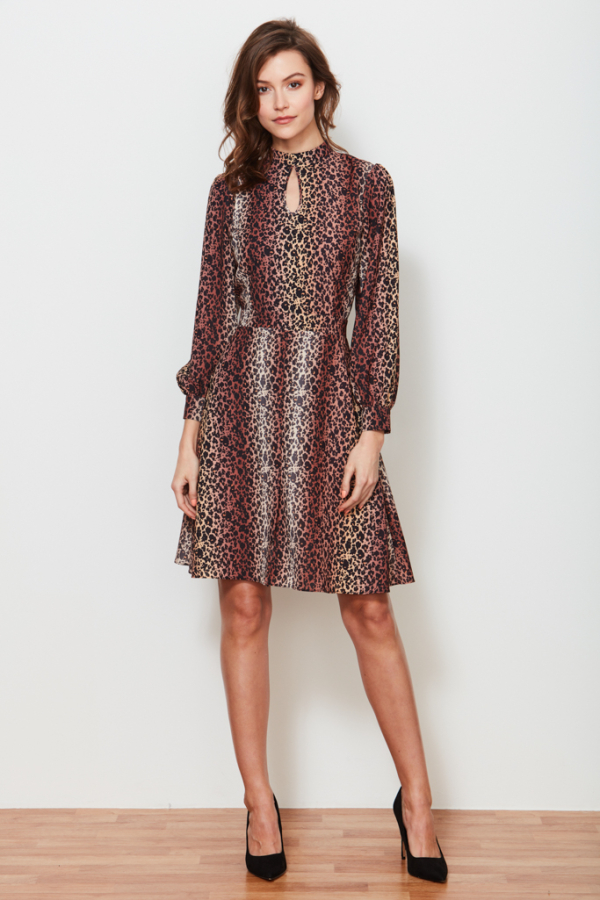 Leopard Print Fit & Flare Dress
