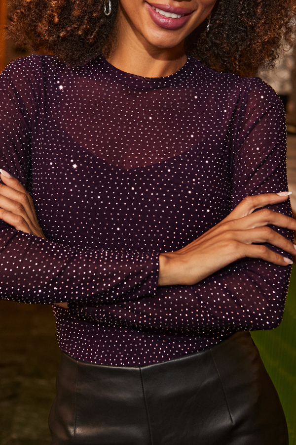 Deep Amethyst Sparkle Mesh Top