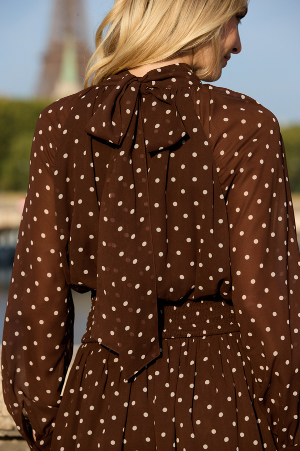 Chocolate Brown Polka Dot Print Ruched Waist Dress