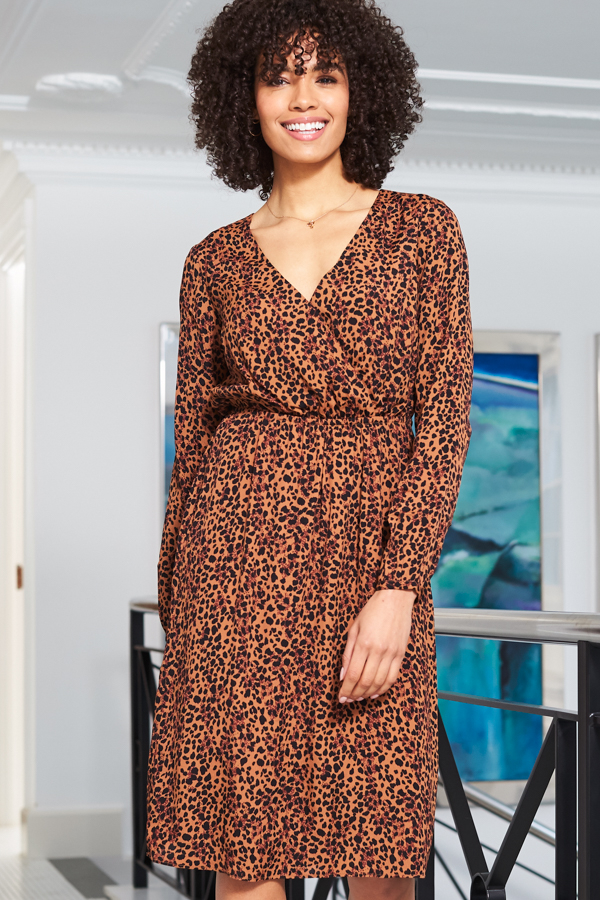 Leopard Print V Neck Stretch Waist Dress