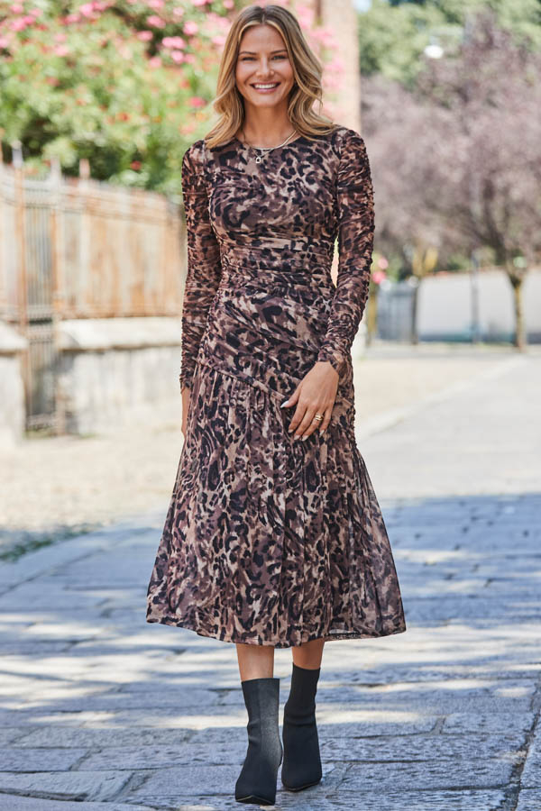 Animal Print Mesh Ruched Waist Fit & Flare Dress